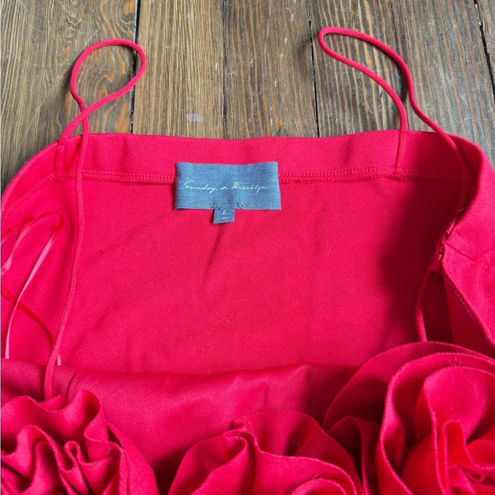 Sunday in Brooklyn by Anthropologie Red Floral Corset Top - Picture 4 of 7